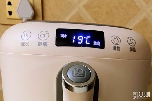 小熊烧水电热水壶,恒温 颜值高又实用