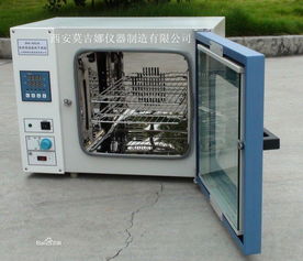 电热恒温鼓风干燥箱