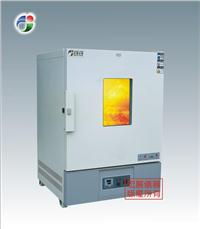 电热鼓风干燥箱厂家 wgs系列